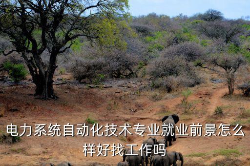 電力系統(tǒng)自動化專業(yè)能力,電力系統(tǒng)自動化技術(shù)專業(yè)怎么樣?