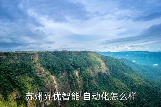  蘇州羿優(yōu)智能 自動(dòng)化怎么樣