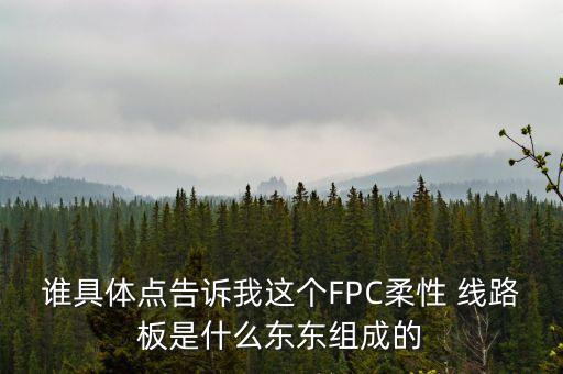 誰具體點告訴我這個FPC柔性 線路板是什么東東組成的