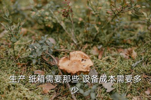 生產(chǎn) 紙箱需要那些 設(shè)備成本需要多少