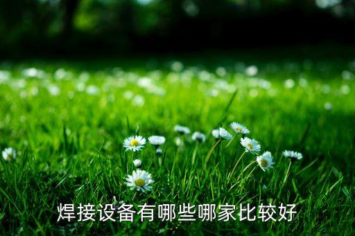 山東自動化焊接設備按需定制,自動化焊接設備分為哪些類型?