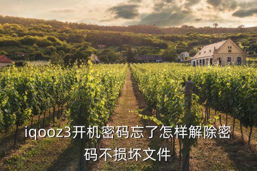 iqooz3開機密碼忘了怎樣解除密碼不損壞文件