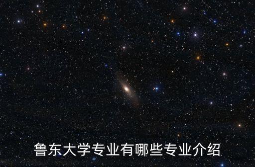 魯東大學(xué)專業(yè)有哪些專業(yè)介紹