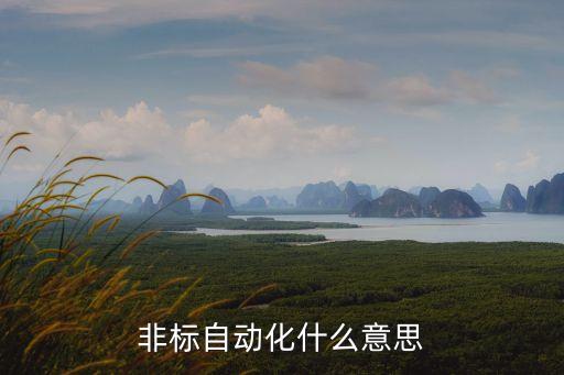 非標(biāo)自動化什么意思