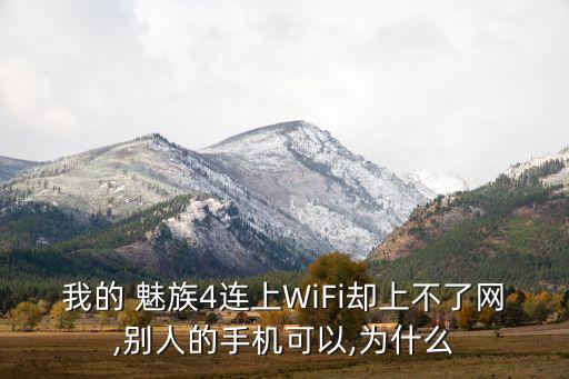 魅族4無線數(shù)據(jù)怎么老是掉線卡