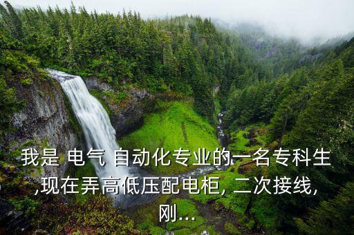 我是 電氣 自動化專業(yè)的一名?？粕?現(xiàn)在弄高低壓配電柜, 二次接線,剛...