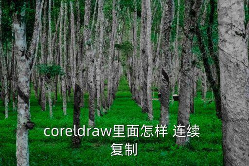 連續(xù)復(fù)制,ai怎么連續(xù)復(fù)制
