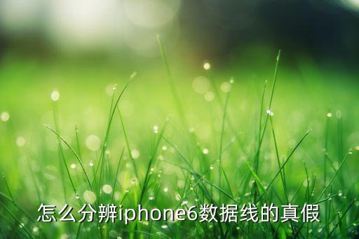 蘋(píng)果數(shù)據(jù)線高仿,蘋(píng)果數(shù)據(jù)線有真假?專家教你辨別真假