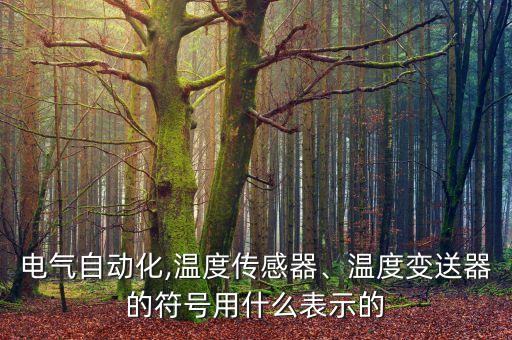 電氣自動(dòng)化,溫度傳感器、溫度變送器的符號(hào)用什么表示的