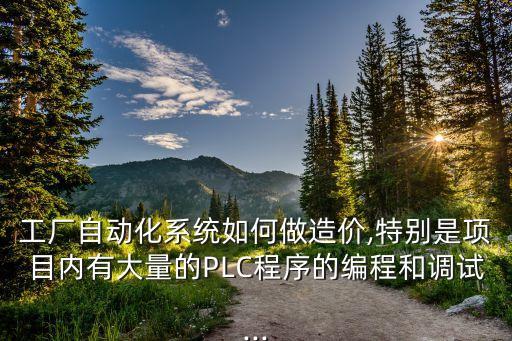 工廠自動化系統(tǒng)如何做造價,特別是項目內(nèi)有大量的PLC程序的編程和調(diào)試...
