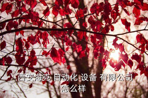 西安 自動(dòng)化設(shè)備有限公司,西安東風(fēng)自動(dòng)化設(shè)備有限公司招聘
