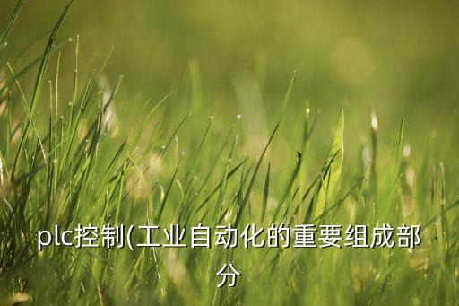 plc控制(工業(yè)自動(dòng)化的重要組成部分