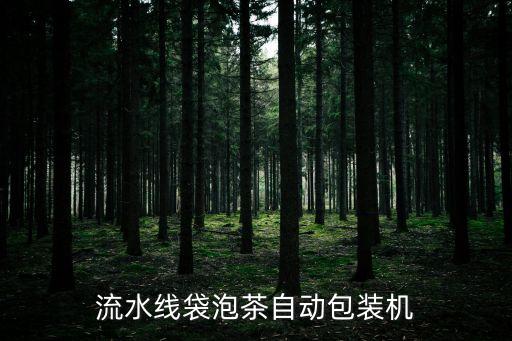 流水線袋泡茶自動(dòng)包裝機(jī)