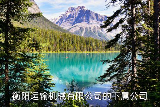 衡陽自動(dòng)化設(shè)備哪家正規(guī),本地自動(dòng)化設(shè)備廠家有哪些?