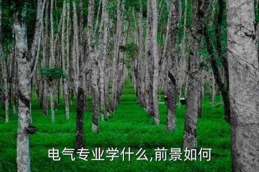 電氣專業(yè)學(xué)什么,前景如何