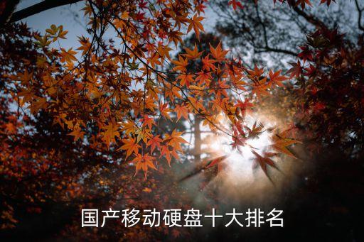 西部數(shù)據(jù)全球排行,國(guó)產(chǎn)移動(dòng)硬盤十大品牌出爐