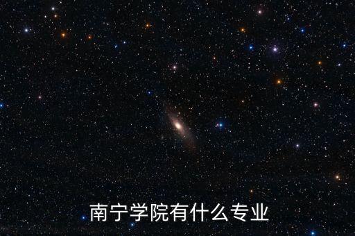  南寧學(xué)院有什么專業(yè)