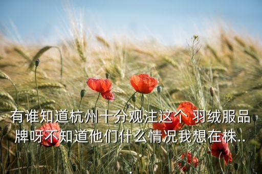 有誰(shuí)知道杭州十分觀注這個(gè) 羽絨服品牌呀不知道他們什么情況我想在株...