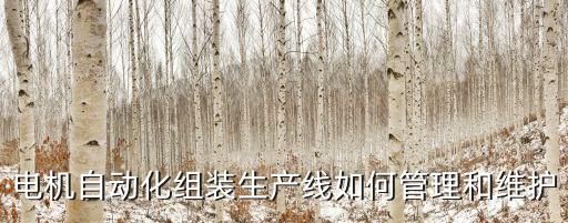 電機(jī)自動化組裝生產(chǎn)線如何管理和維護(hù)