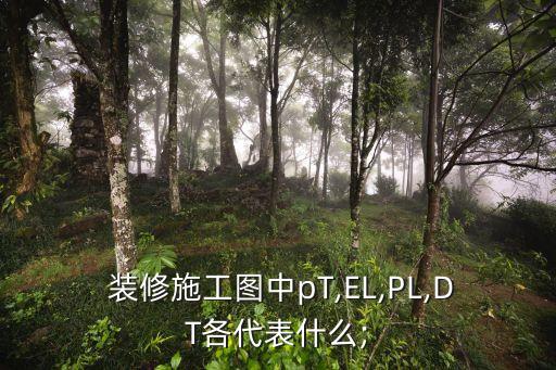  裝修施工圖中pT,EL,PL,DT各代表什么;