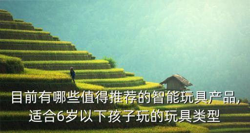 目前有哪些值得推薦的智能玩具產(chǎn)品,適合6歲以下孩子玩的玩具類型