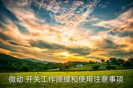 微動 開關(guān)工作原理和使用注意事項