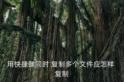 用快捷鍵同時 復制多個文件應怎樣 復制