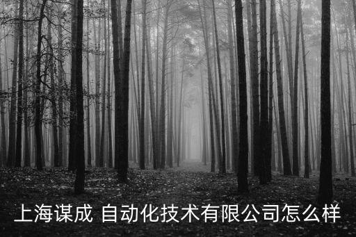上海謀成 自動(dòng)化技術(shù)有限公司怎么樣