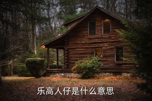 樂高人仔是什么意思