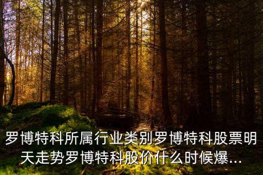 羅博特科所屬行業(yè)類別羅博特科股票明天走勢(shì)羅博特科股價(jià)什么時(shí)候爆...