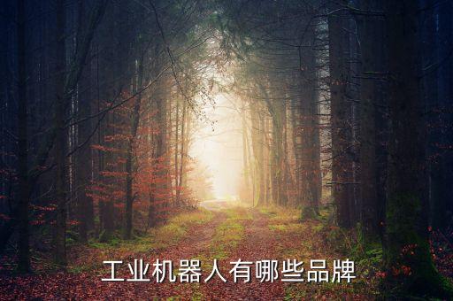  工業(yè)機(jī)器人有哪些品牌