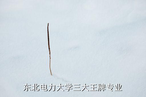 智能家居與自動(dòng)化專業(yè),電氣自動(dòng)化技術(shù)專業(yè)怎么樣?