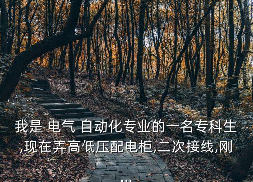 我是 電氣 自動(dòng)化專業(yè)的一名?？粕?現(xiàn)在弄高低壓配電柜,二次接線,剛...