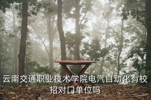 云南交通職業(yè)技術(shù)學院電汽自動化有校招對囗單位嗎