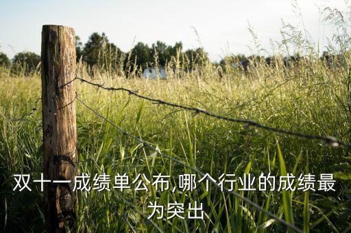 雙十一往年數據,今年雙十一具有劃時代意義的一年