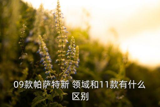 新領(lǐng)域