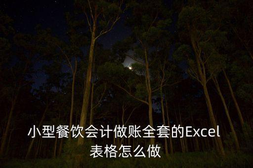 小型餐飲會(huì)計(jì)做賬全套的Excel 表格怎么做
