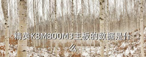精英K8M800M3主板的數(shù)據(jù)是什么