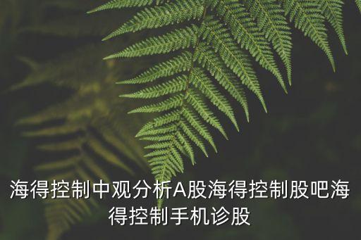 海得控制中觀分析A股海得控制股吧海得控制手機(jī)診股