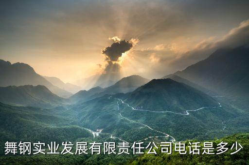舞鋼自動(dòng)化公司有哪些公司,舞鋼市正邦鋼鐵有限公司怎么樣?