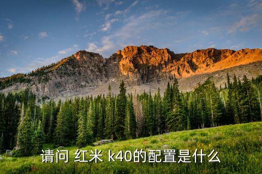 請(qǐng)問(wèn) 紅米 k40的配置是什么