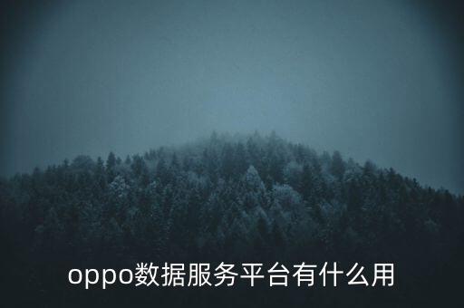 oppo數(shù)據(jù)服務(wù)平臺(tái)有什么用