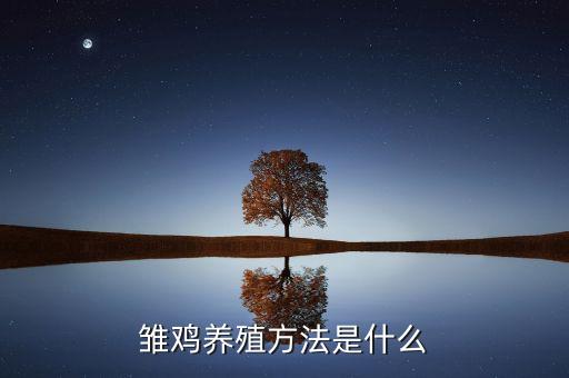 雛雞養(yǎng)殖方法是什么