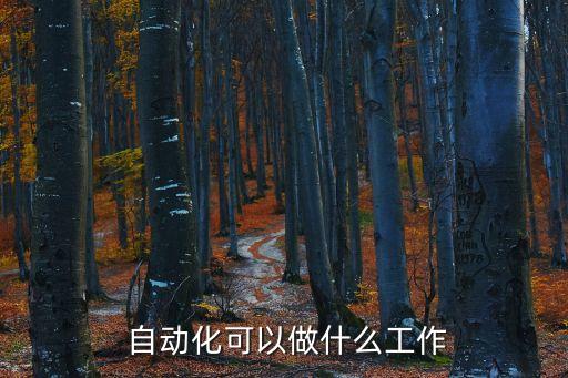 汽車自動化專業(yè)干嘛的啊,自動化電子信息專業(yè)干嘛
