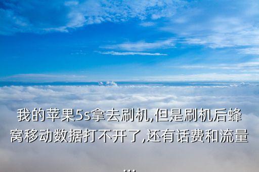 蘋果5s數(shù)據(jù)不能用怎么辦,蘋果5s移動數(shù)據(jù)不能用怎么辦?