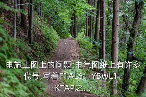 電施工圖上的問題:電氣圖紙上有許多代號,寫著F1AL6、YBWL1、KTAP之...