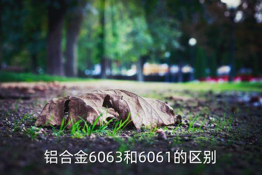 鋁合金6063和6061的區(qū)別