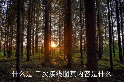 什么是 二次接線圖其內(nèi)容是什么