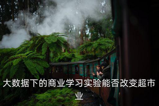大數(shù)據(jù)下的商業(yè)學(xué)習(xí)實驗?zāi)芊窀淖兂袠I(yè)