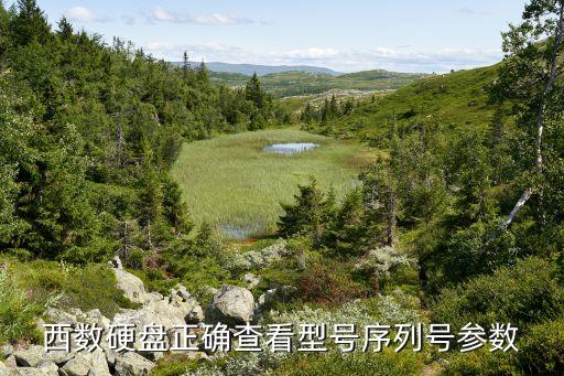西部數(shù)據(jù)硬盤查詢,西部數(shù)據(jù)硬盤怎么查看真?zhèn)渭氨Ｐ扌畔?